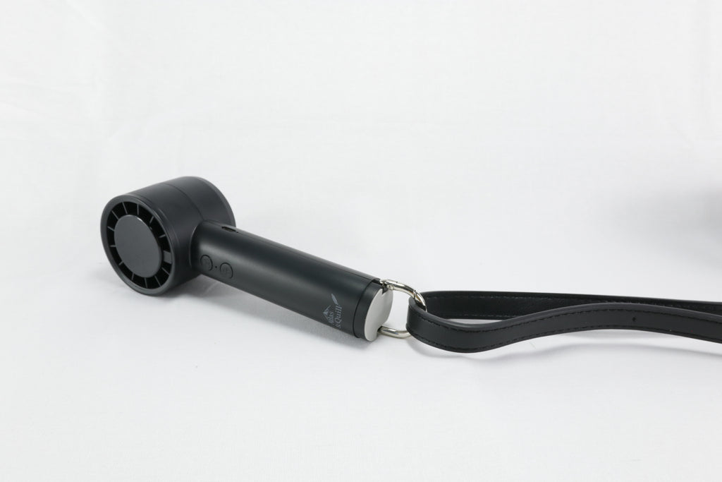 Hand held fan